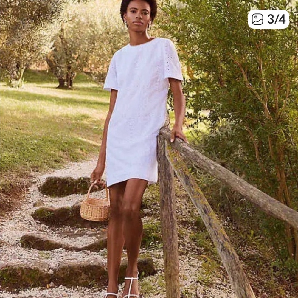 LOFT Eyelet Shift Dress - NWT 6